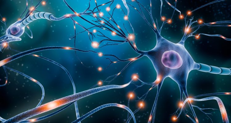 What is Demyelination, What are its Types and How to Treat Them